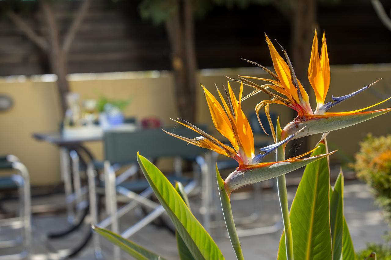 Ayia Napa Tropical Beach Villa ภายนอก รูปภาพ